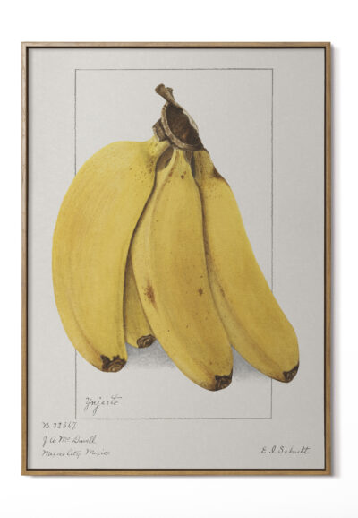 Banana