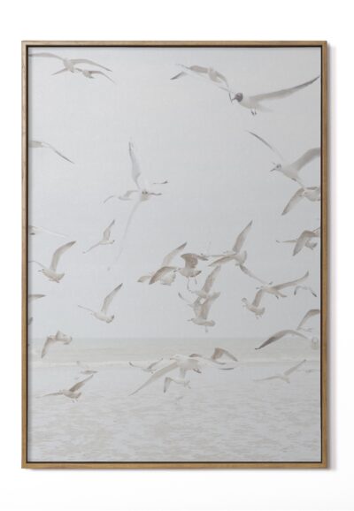 Gaviotas