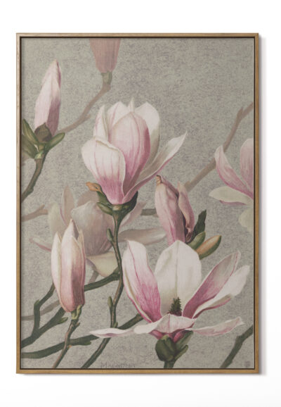 Primavera